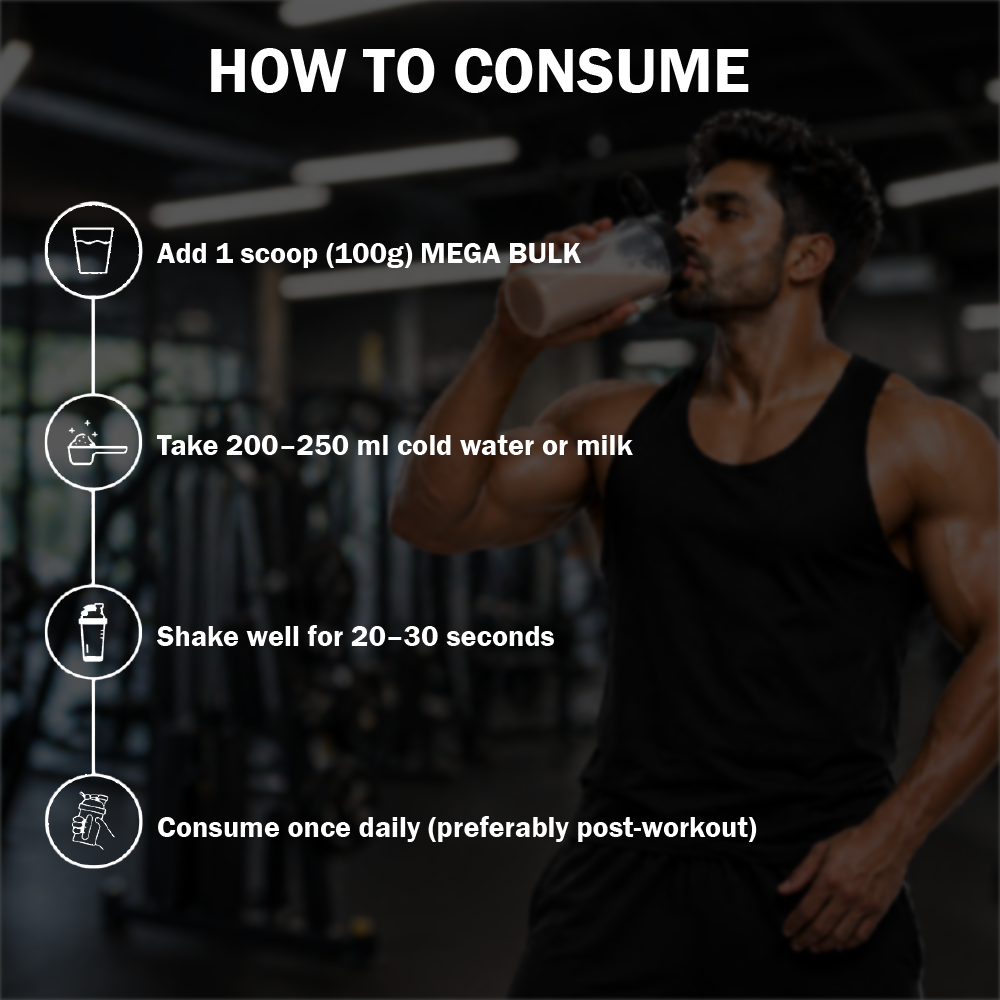 Mega Bulk Mass Gainer with Whey Protein