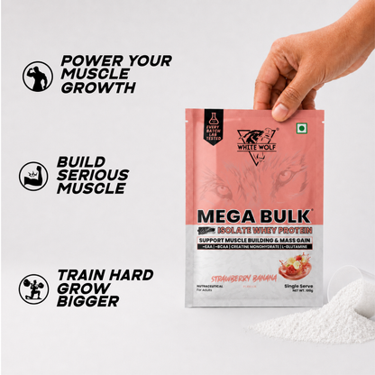 Mega Bulk Mass Gainer with Whey Protein Travel Pack
