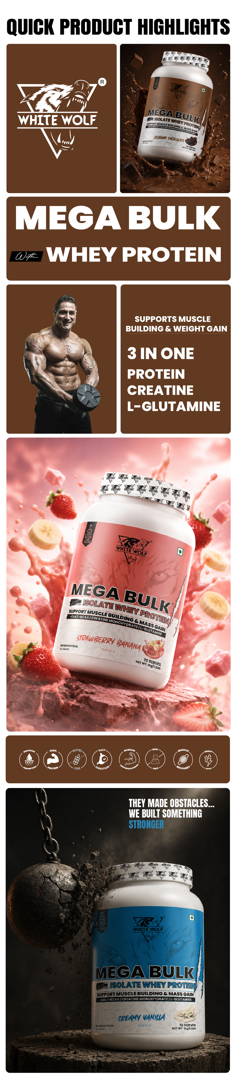 Mega Bulk Mass Gainer with Whey Protein Highlights