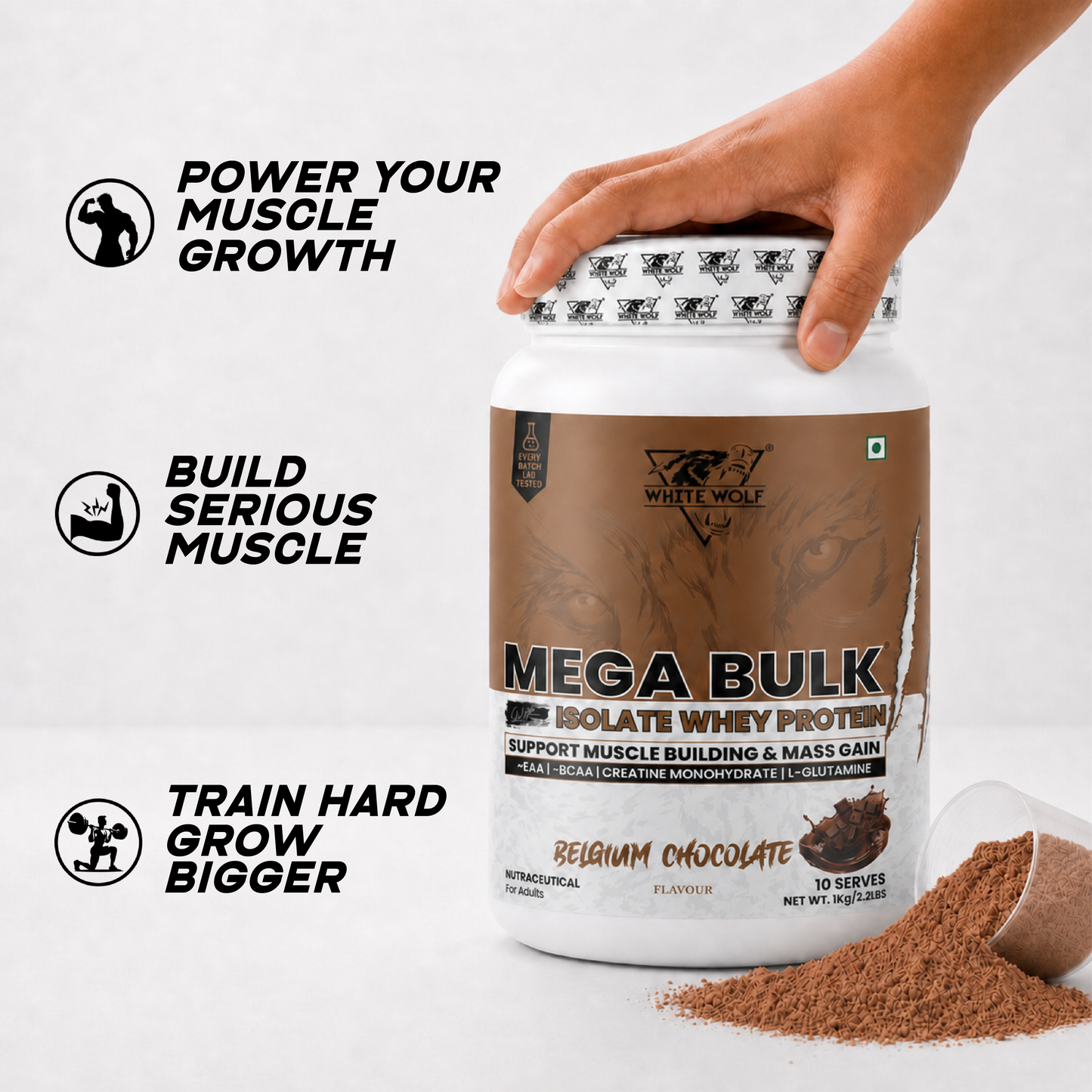 Mega Bulk Mass Gainer with Whey Protein