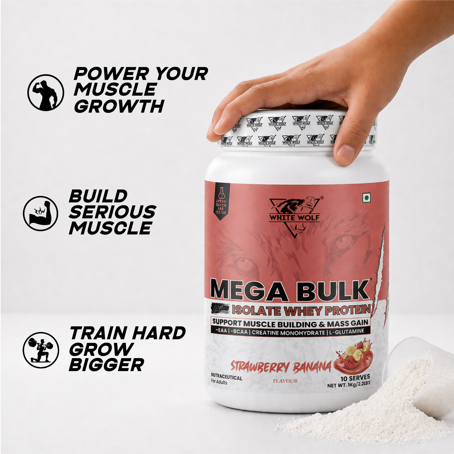 Mega Bulk Mass Gainer with Whey Protein