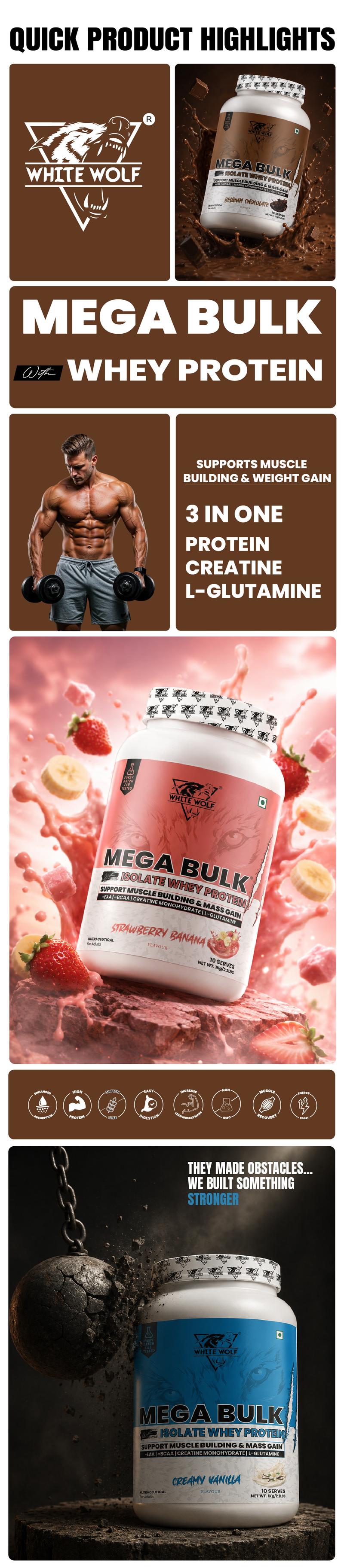 Mega Bulk Mass Gainer with Whey Protein Highlights