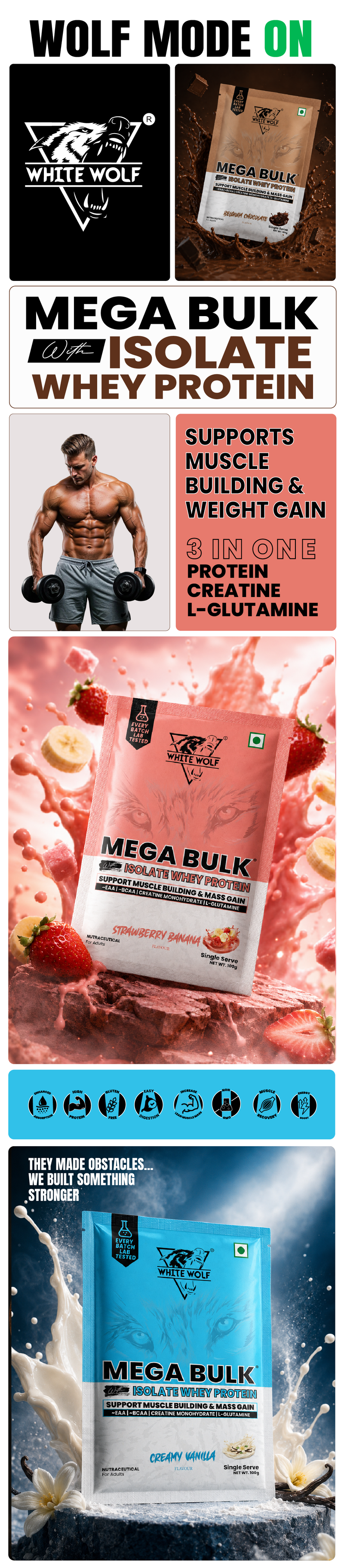 Mega Bulk Mass Gainer with Whey Protein Travel Pack Highlights