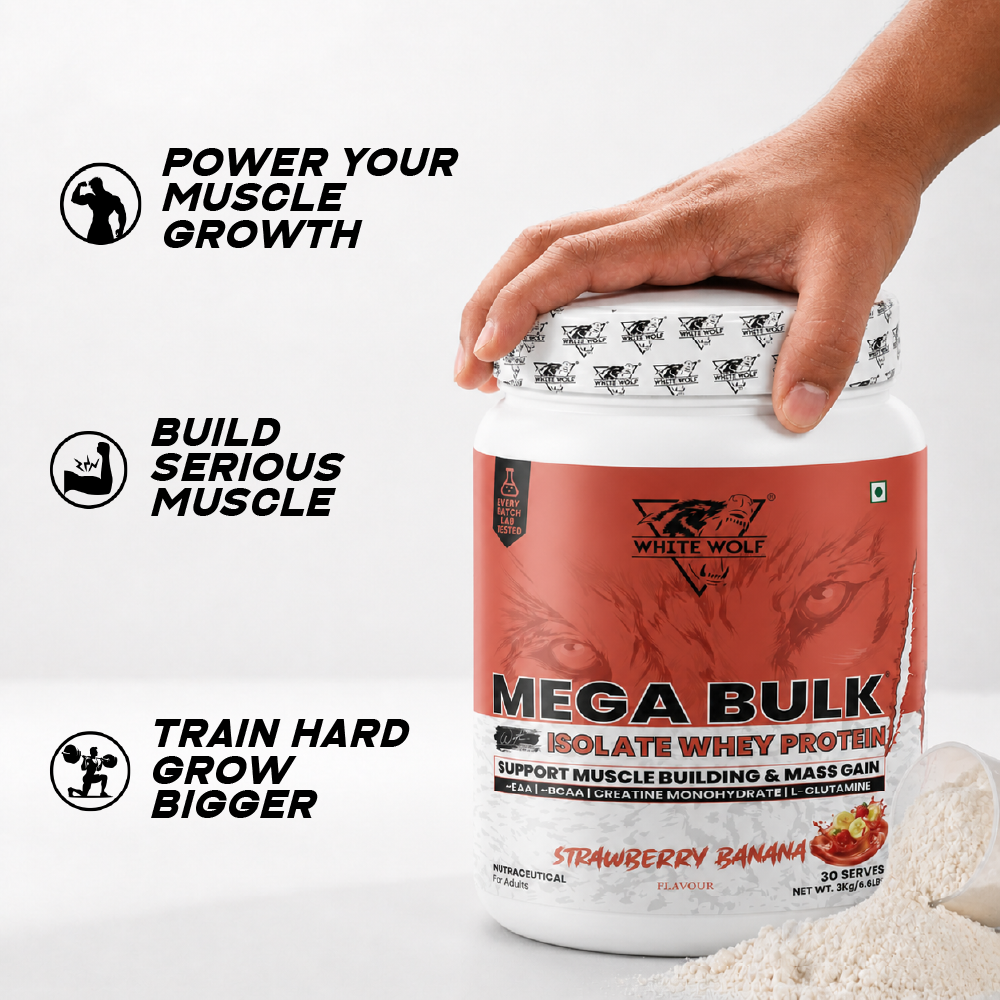 Mega Bulk Mass Gainer with Whey Protein