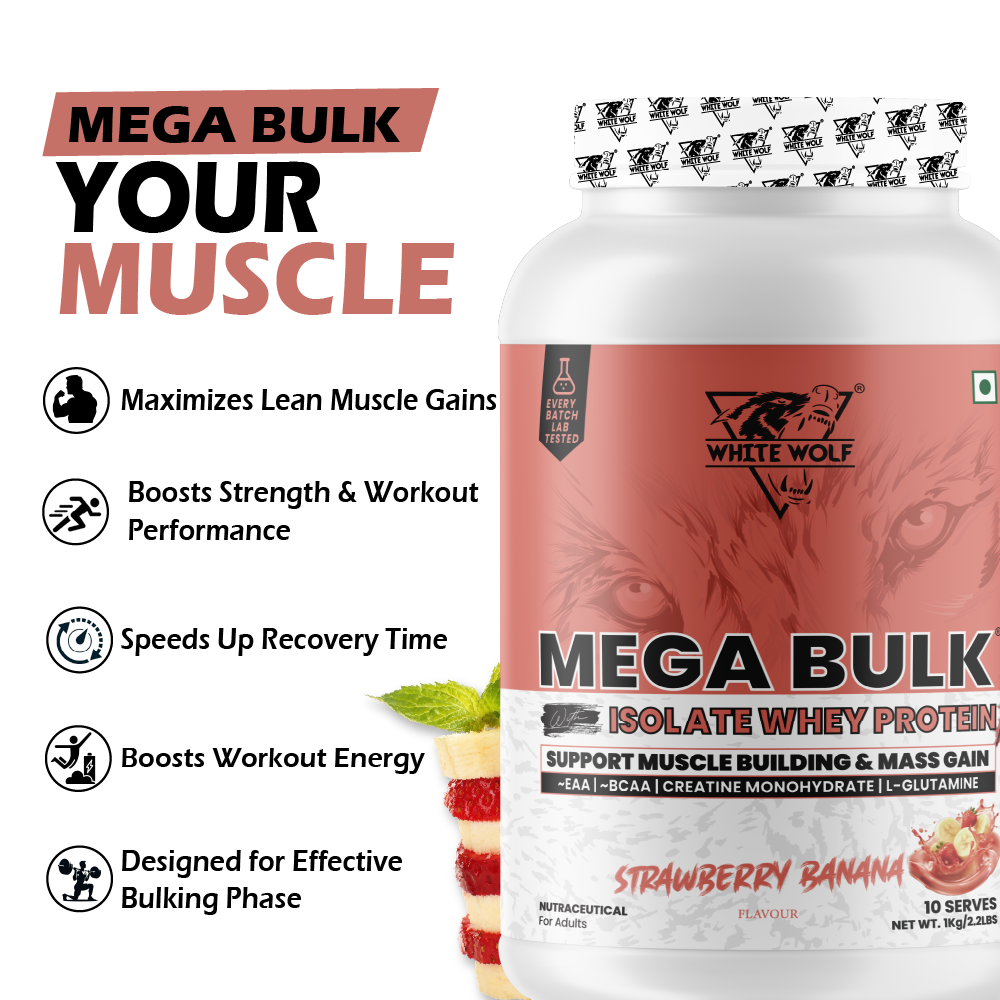 Mega Bulk Mass Gainer with Whey Protein