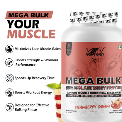 Mega Bulk Mass Gainer with Whey Protein