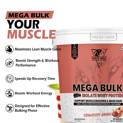 Mega Bulk Mass Gainer with Whey Protein