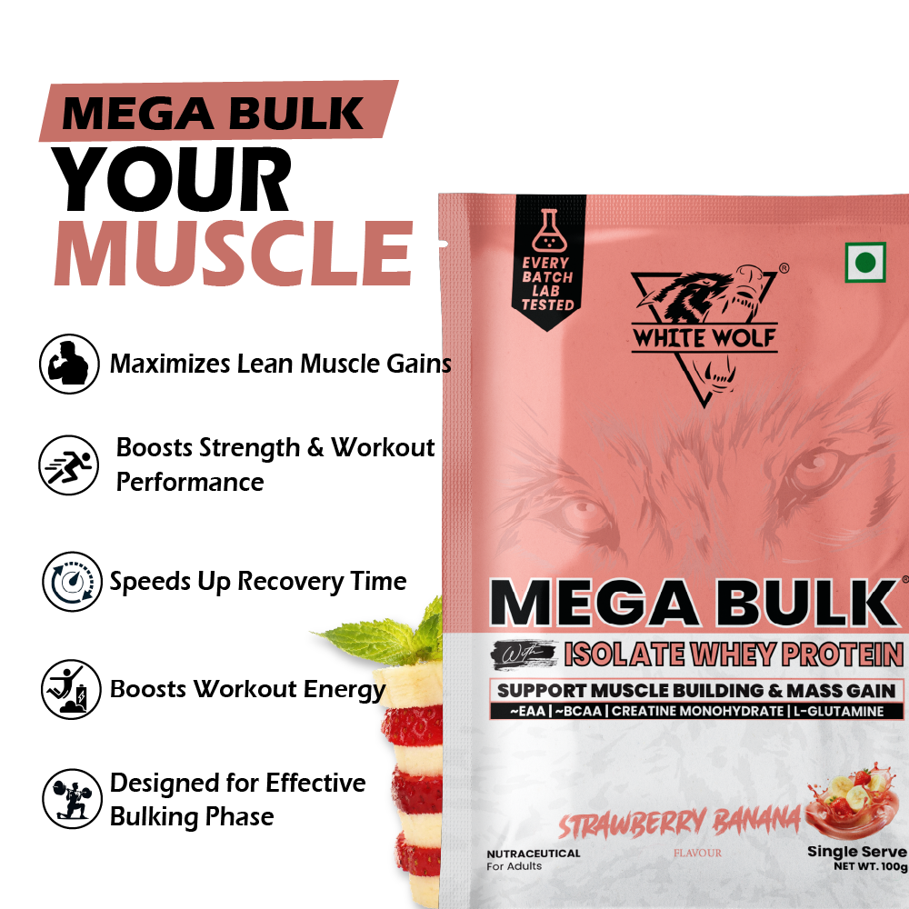 Mega Bulk Mass Gainer with Whey Protein Travel Pack
