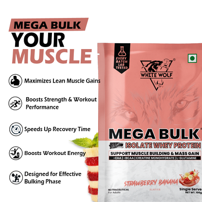 Mega Bulk Mass Gainer with Whey Protein Travel Pack