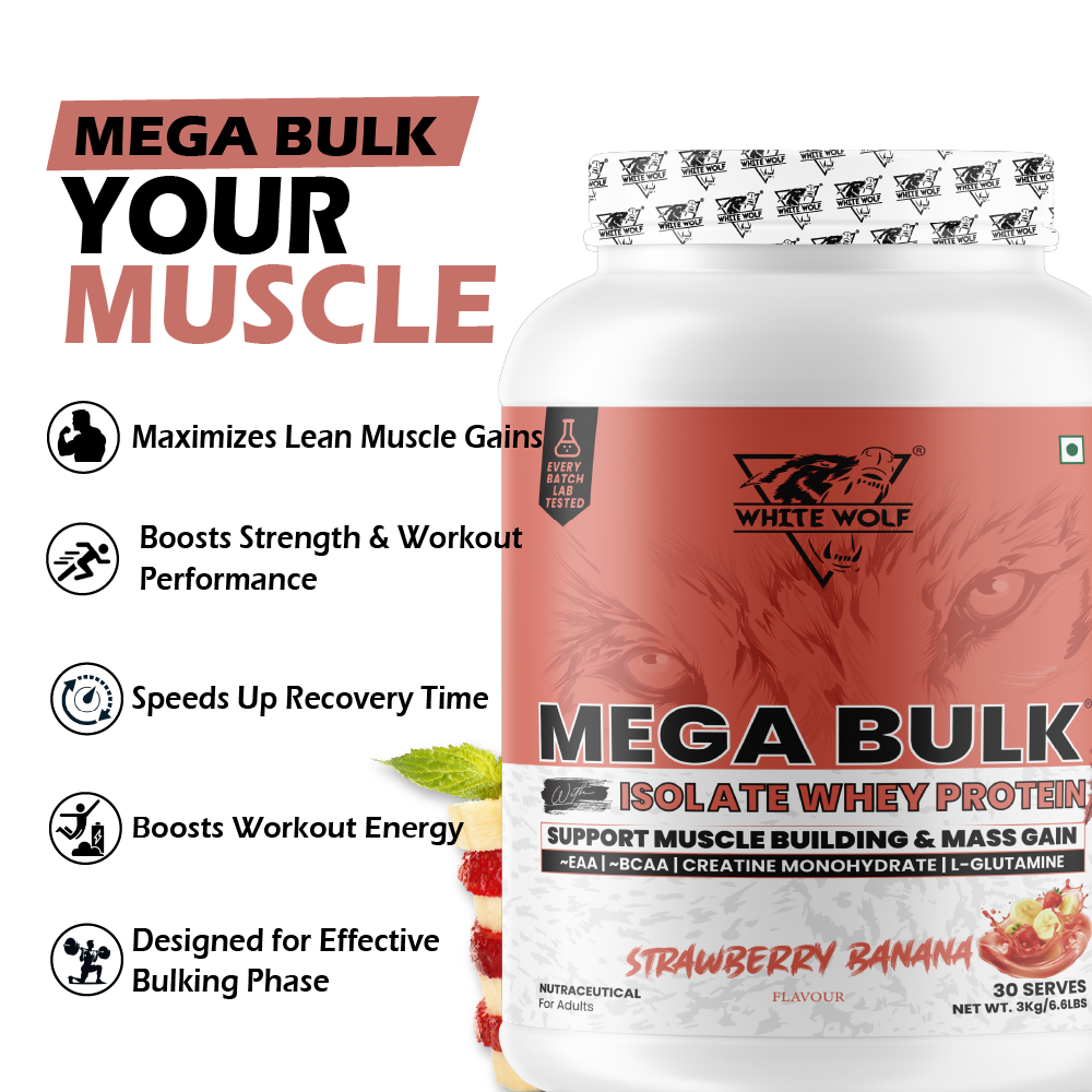 Mega Bulk Mass Gainer with Whey Protein
