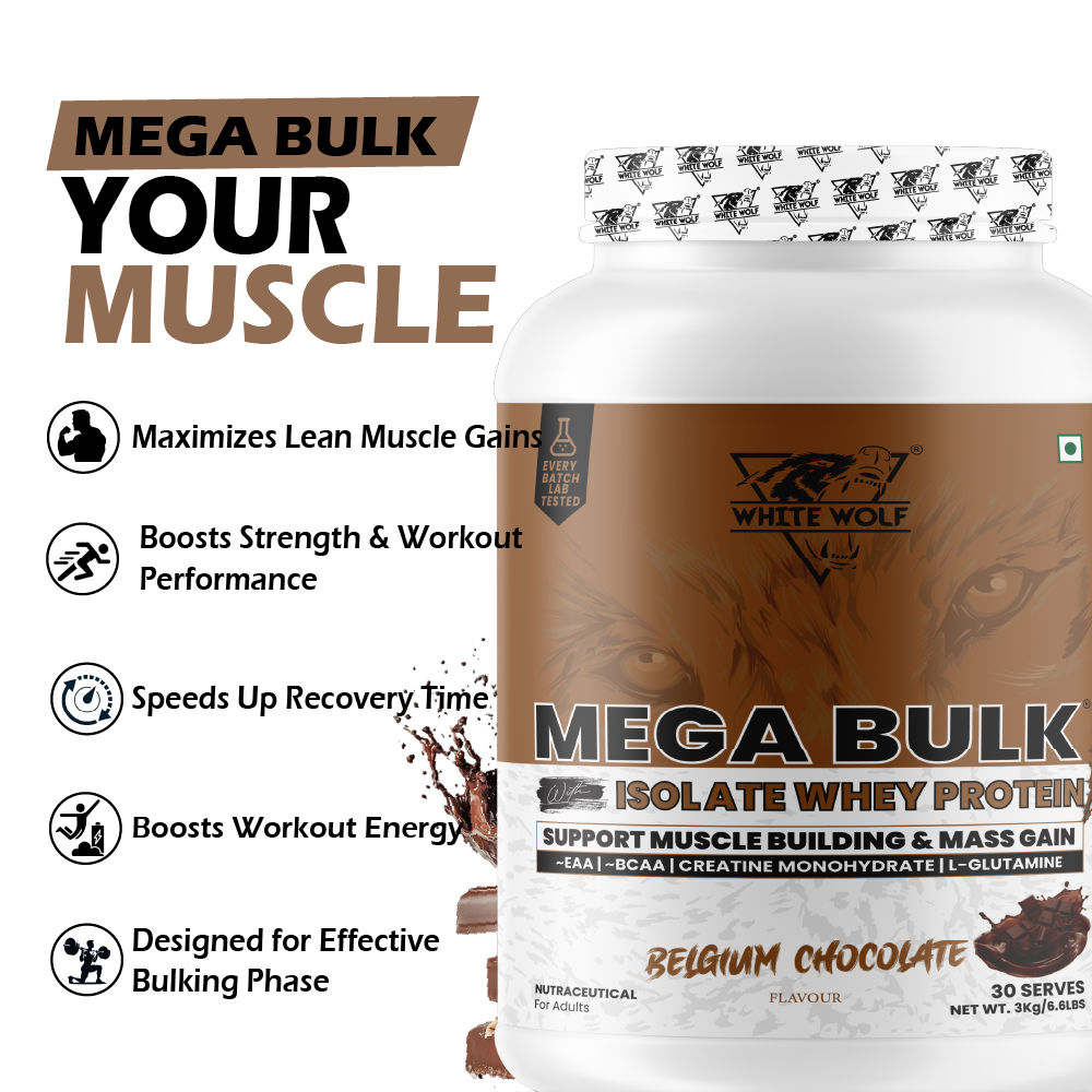 Mega Bulk Mass Gainer with Whey Protein