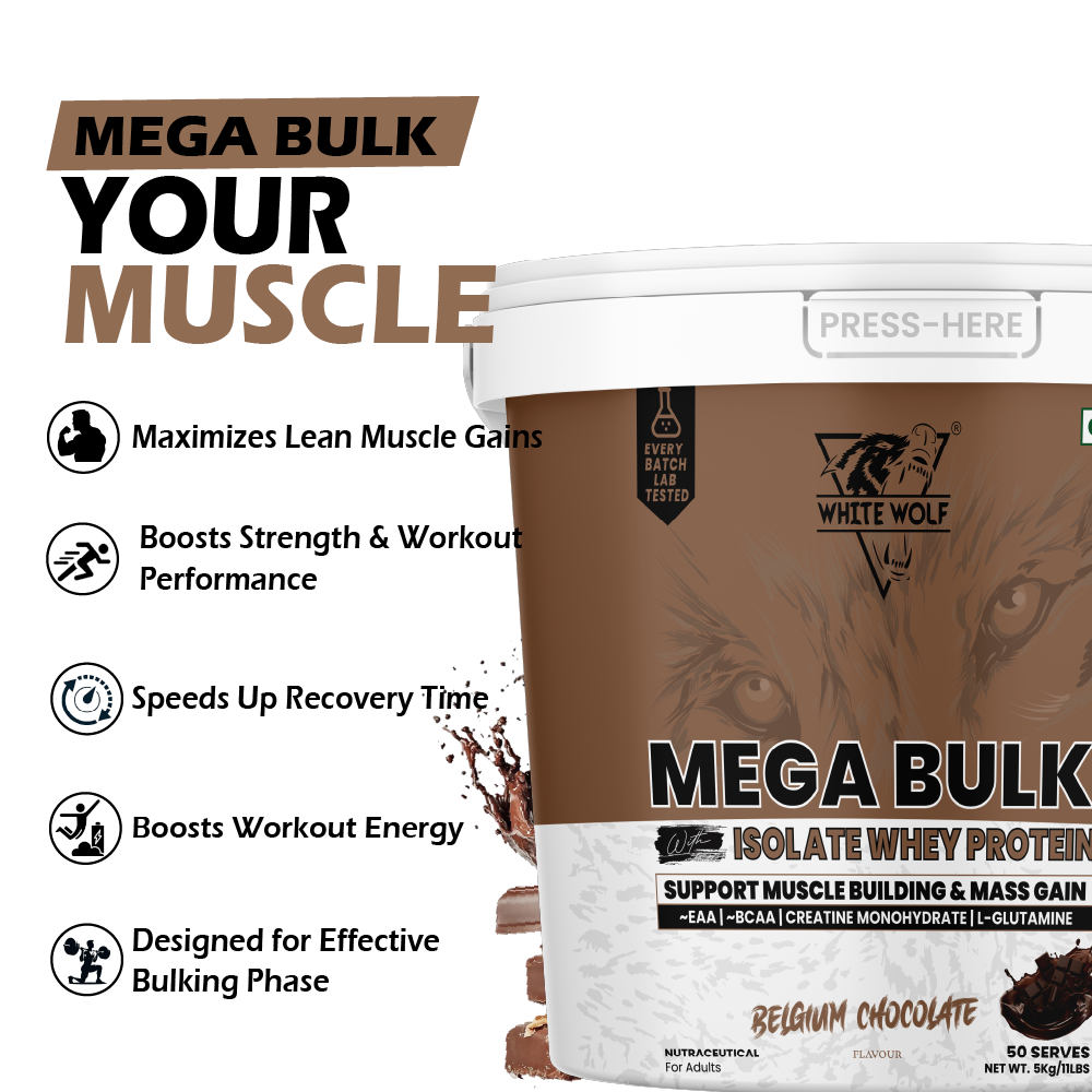 Mega Bulk Mass Gainer with Whey Protein