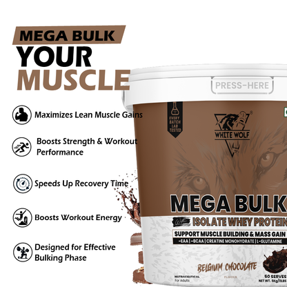 Mega Bulk Mass Gainer with Whey Protein
