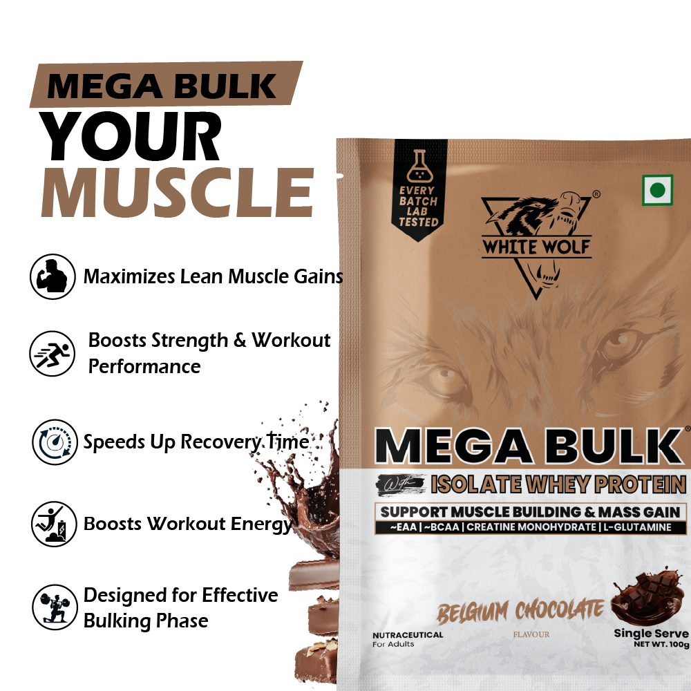 Mega Bulk Mass Gainer with Whey Protein Travel Pack