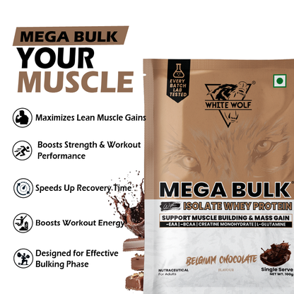 Mega Bulk Mass Gainer with Whey Protein Travel Pack