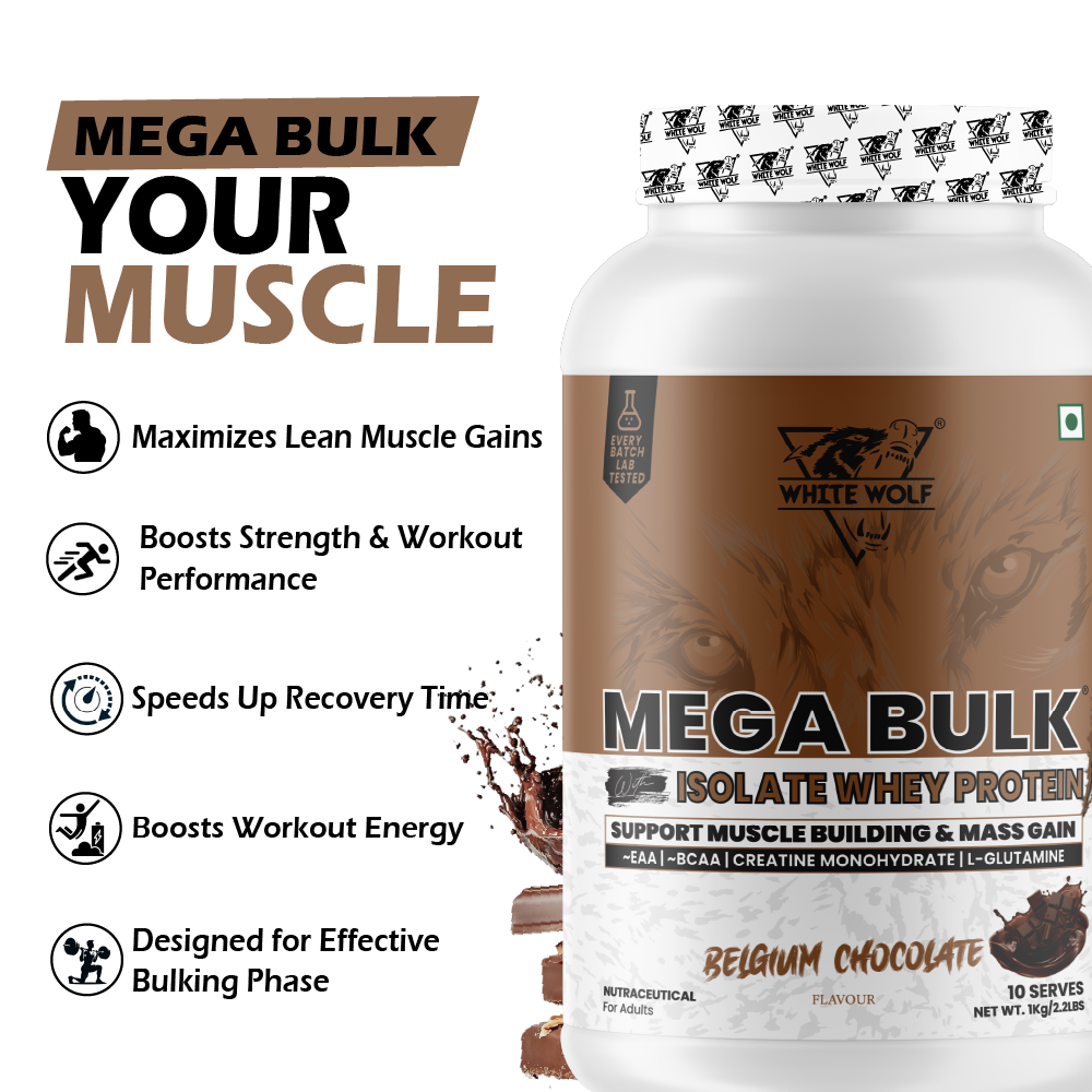 Mega Bulk Mass Gainer with Whey Protein