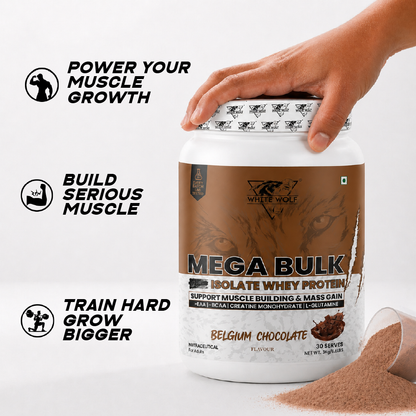 Mega Bulk Mass Gainer with Whey Protein