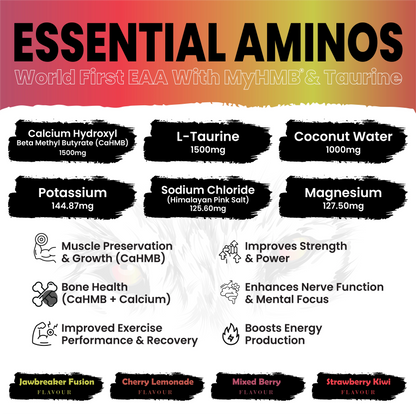 Essential Aminos EAA With My HMB