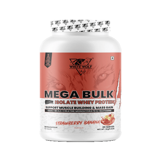 Mega Bulk Mass Gainer with Whey Protein