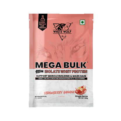 Mega Bulk Mass Gainer with Whey Protein Travel Pack