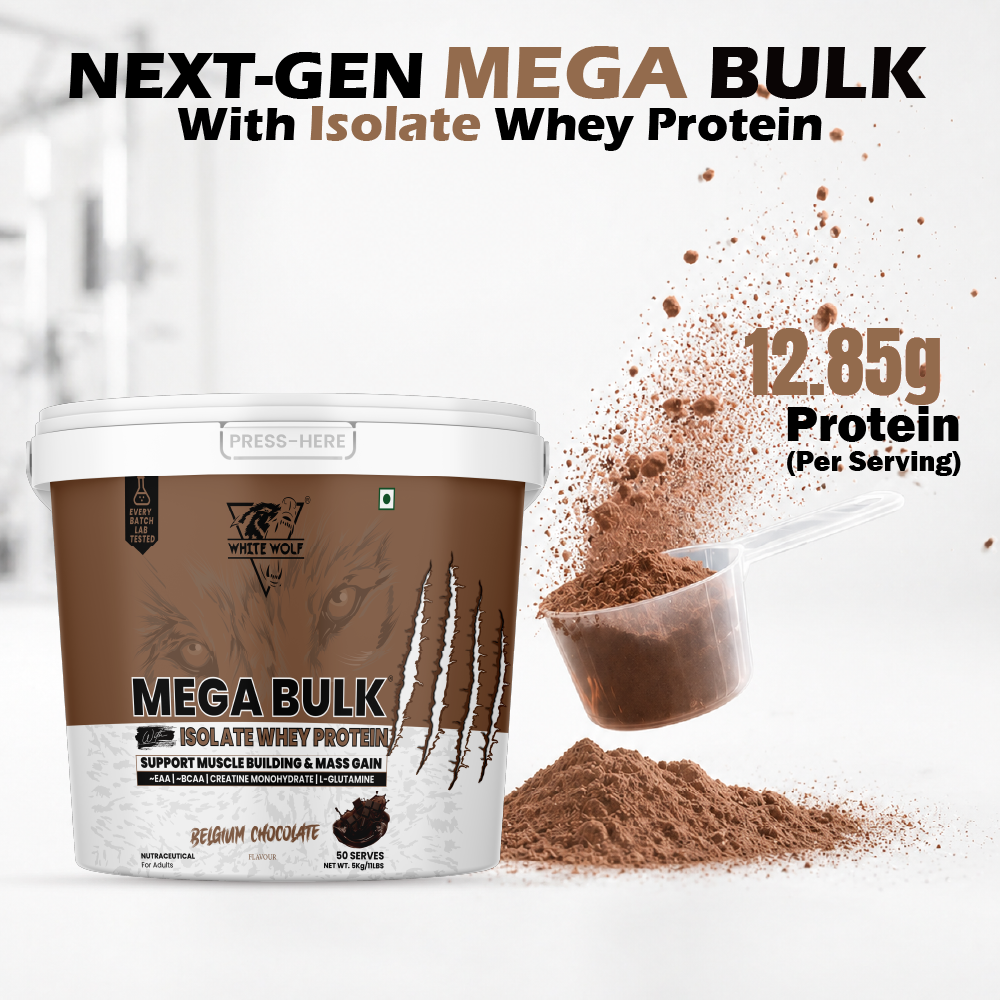 Mega Bulk Mass Gainer with Whey Protein