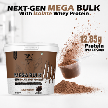Mega Bulk Mass Gainer with Whey Protein