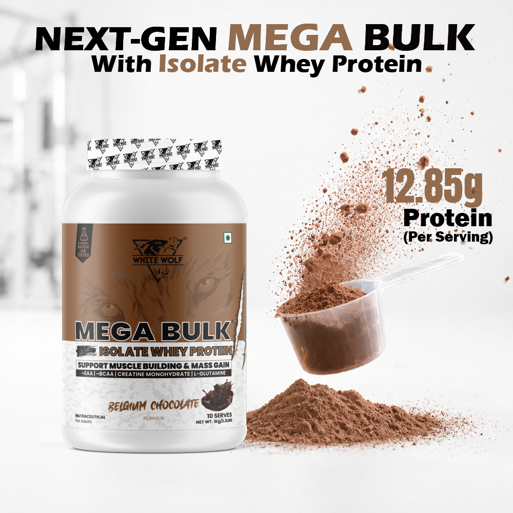 Mega Bulk Mass Gainer with Whey Protein
