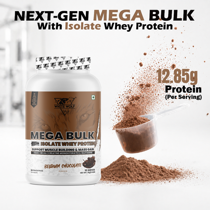 Mega Bulk Mass Gainer with Whey Protein