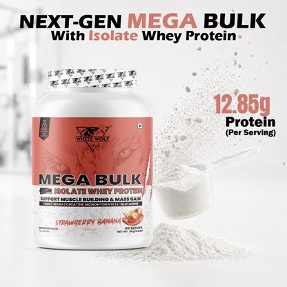 Mega Bulk Mass Gainer with Whey Protein