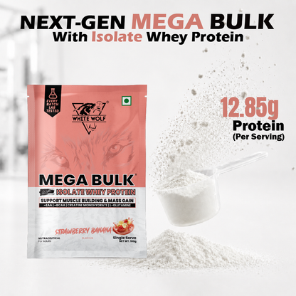 Mega Bulk Mass Gainer with Whey Protein Travel Pack