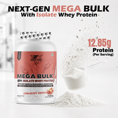 Mega Bulk Mass Gainer with Whey Protein