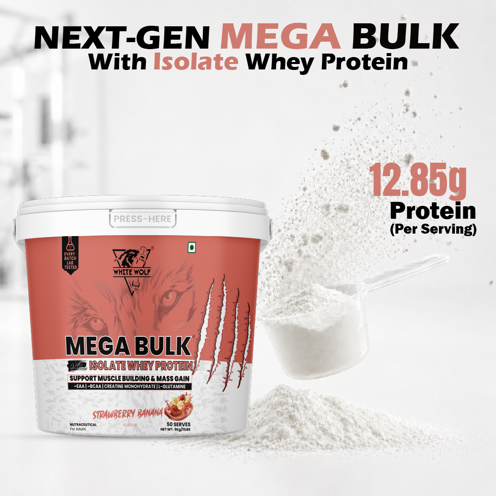 Mega Bulk Mass Gainer with Whey Protein