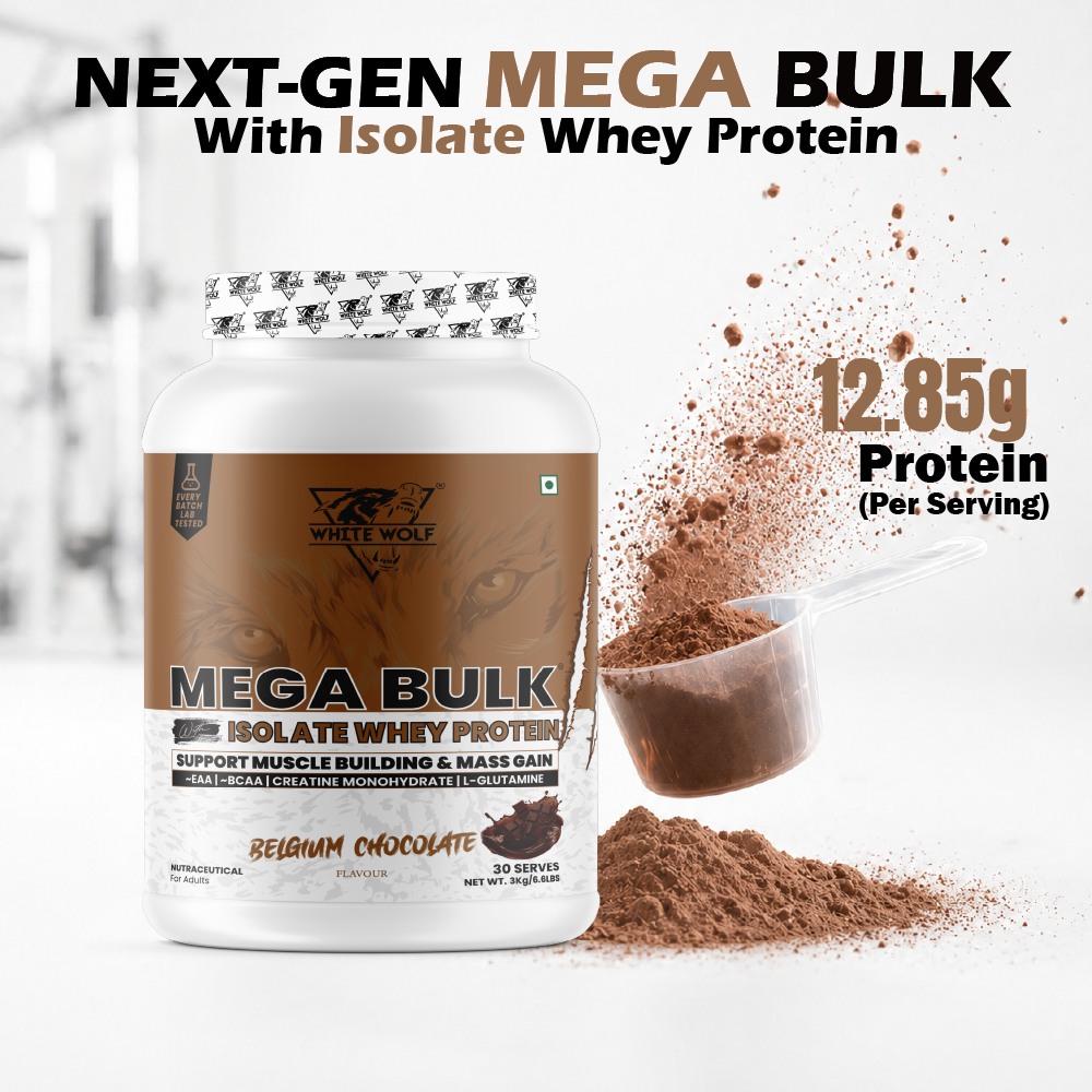 Mega Bulk Mass Gainer with Whey Protein