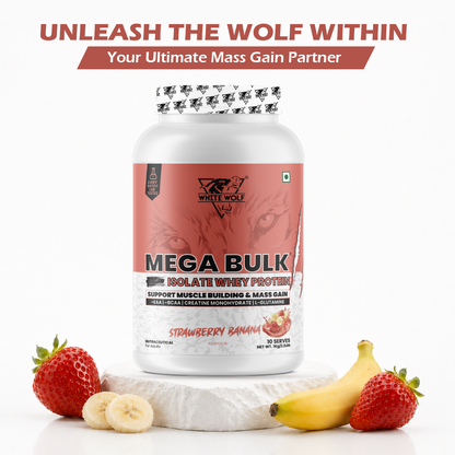 Mega Bulk Mass Gainer with Whey Protein
