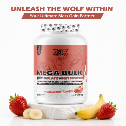 Mega Bulk Mass Gainer with Whey Protein