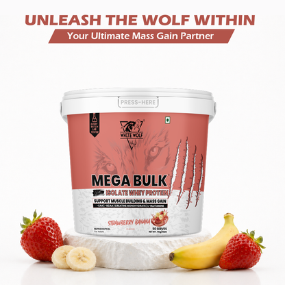 Mega Bulk Mass Gainer with Whey Protein