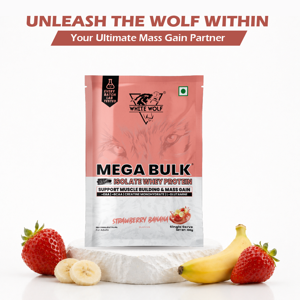 Mega Bulk Mass Gainer with Whey Protein Travel Pack