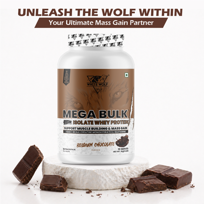 Mega Bulk Mass Gainer with Whey Protein