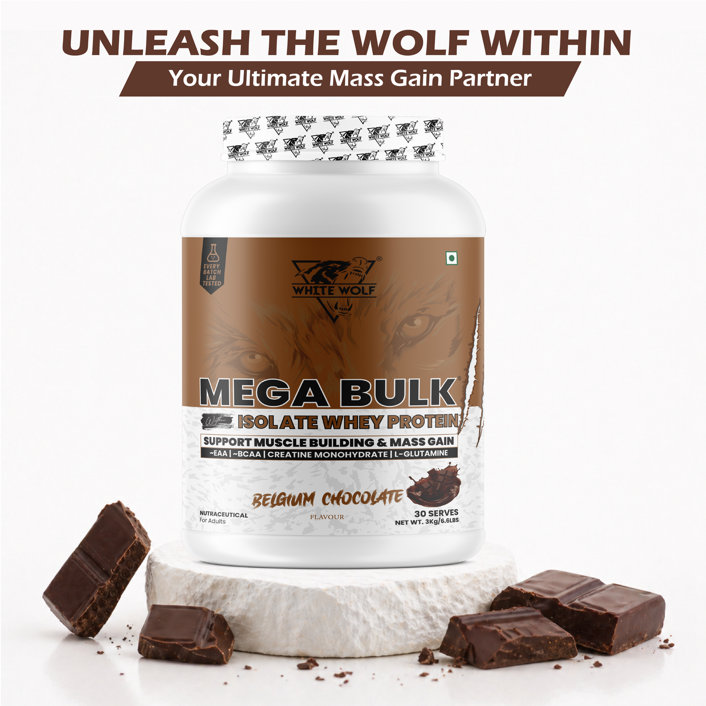 Mega Bulk Mass Gainer with Whey Protein