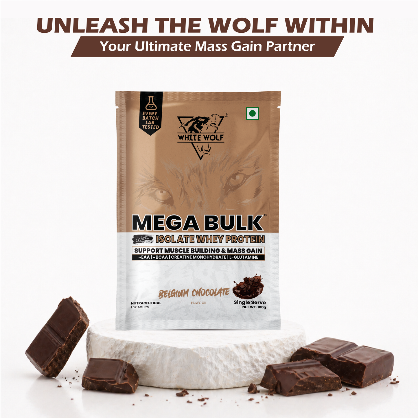 Mega Bulk Mass Gainer with Whey Protein Travel Pack